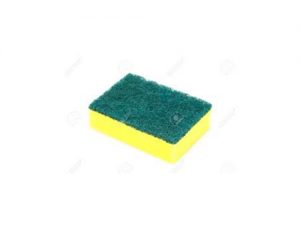 Sponges