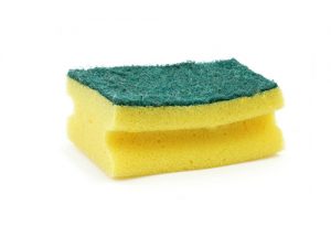 Sponges